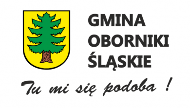 Turniej Piłki Nożnej Dzieci w Kuraszkowie