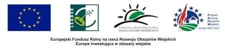 LogotypyEFR