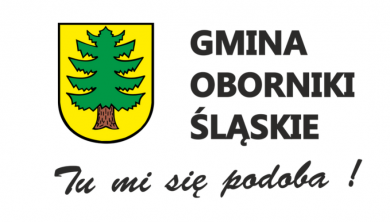 Festyn w Osolinie