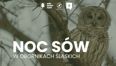noc sów