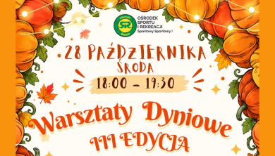 III EDYCJA WARSZTATÓW DYNIOWYCH!