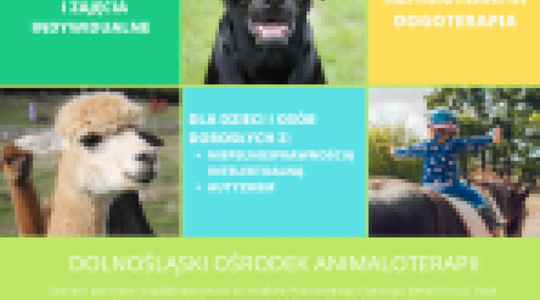 Treningi samodzielności z udziałem zwierząt