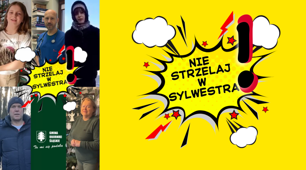 Nie strzelaj w sylwestra