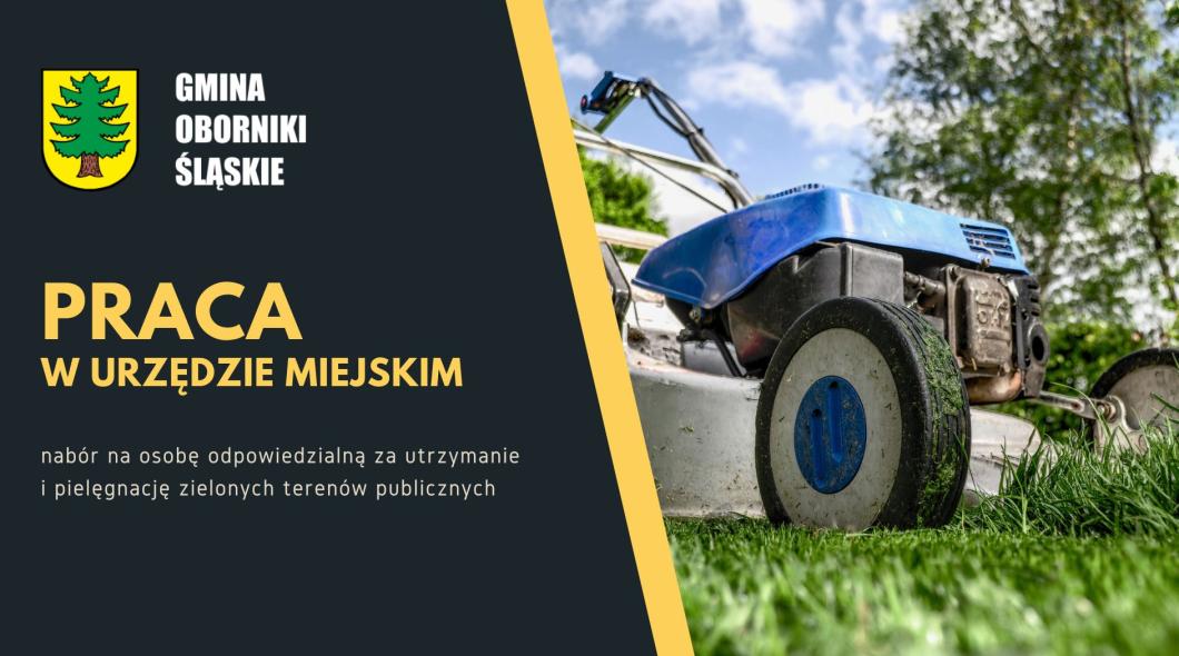Praca szuka człowieka
