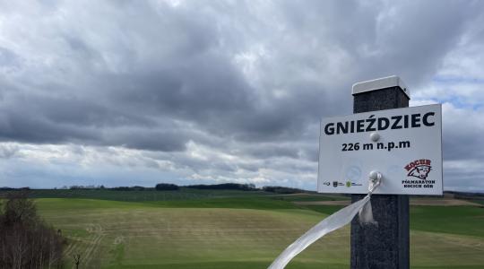 gnieździec