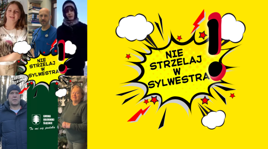 Nie strzelaj w sylwestra