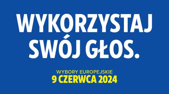 wybory 