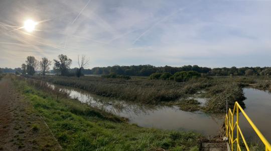 Odra w Urazie