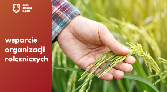 Podatek rolny – wsparcie organizacji rolniczych