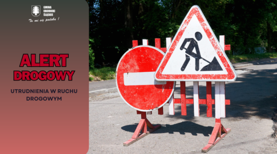 Zmiana organizacji ruchu w Borkowicach