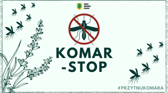 Redukujemy populacje komarów