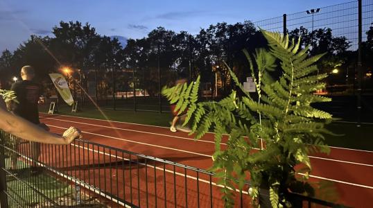 Kwiat paproci, który niestety tej nocy nie zakwitł