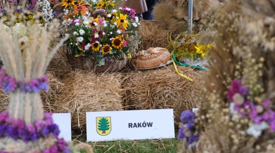 Dożynki Gminne w Rościsławicach