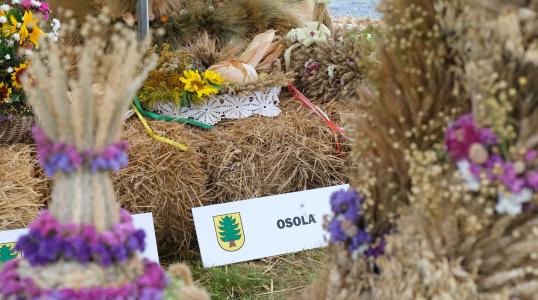 Dożynki Gminne w Rościsławicach