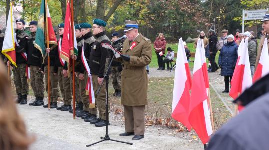 Obchody Narodowego Święta Niepodległości
