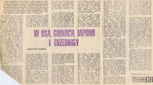 wycinki z gazet
