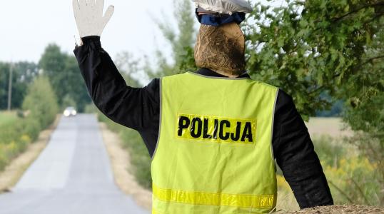 Dekoracje Dożynkowe - Rościsławice 2025