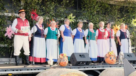 Piknik w Kotowicach