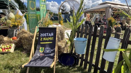Dożynki Gminne w Rościsławicach