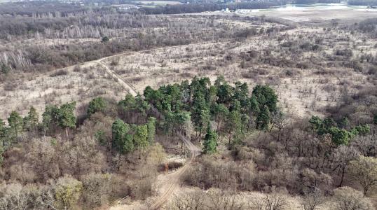 ścieżka rowerowa Paniowice